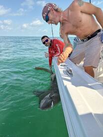 Two anglers actively engaged in reeling in a shark while fishing in clear waters, showcasing an exciting moment on the boat.