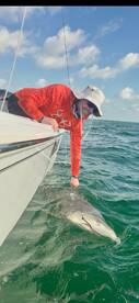 Angler actively reeling in a large shark while fishing from a boat in clear waters.