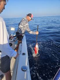 Angler reeling in a vibrant Red Snapper while fishing offshore, showcasing an exciting moment on the water.