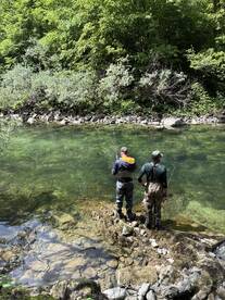 Two anglers fishing in a serene freshwater stream surrounded by lush greenery, showcasing a peaceful outdoor fishing experience.