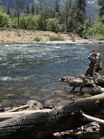 An angler casting a line into a scenic river surrounded by lush greenery, showcasing a peaceful fishing environment.