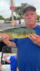 An angler proudly displaying a vibrant Mahi Mahi at the dock, showcasing a successful fishing trip.