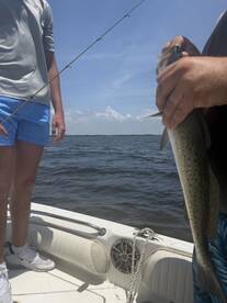 A young angler holding a Speckled Trout while fishing on a boat, showcasing a successful catch in a sunny environment.