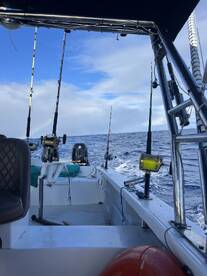Interior view of a fishing boat showcasing the helm and seating area, with fishing rods ready for action against a backdrop of open water.