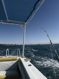 A fishing boat in motion with a rod bent, indicating a fish is on the line, showcasing an exciting fishing experience.