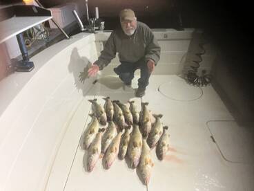 An angler proudly displaying a successful catch of multiple Walleye on the deck of a fishing boat during a night trip.