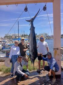 A group of anglers proudly displaying a large Marlin caught during their fishing trip at the marina.