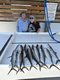 A group of anglers proudly displaying their catch of Spanish Mackerel arranged neatly on a board at the dock.