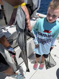 A young angler excitedly observes a caught fish, likely a Cobia, held by an adult on a fishing boat.