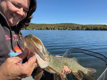 Angler smiling while holding a Northern Pike on a serene lake, surrounded by autumn foliage.