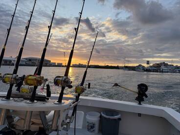 A scenic view from inside a fishing boat, showcasing multiple fishing rods and reels against a beautiful sunset backdrop.
