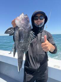 Angler proudly displaying a large Black Sea Bass while fishing on a sunny day.