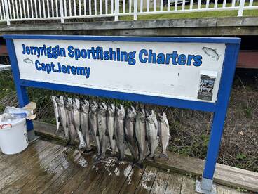A display of freshly caught fish, likely trout, arranged on a board at Jerryriggin Sportfishing Charters, showcasing a successful fishing trip.