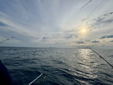 Anglers casting lines into the open water during a fishing trip, with a scenic view of the skyline in the distance.