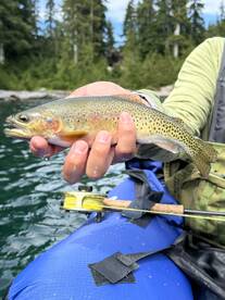 Angler proudly displaying a colorful Rainbow Trout while fishing from a kayak in a scenic lake surrounded by lush trees.