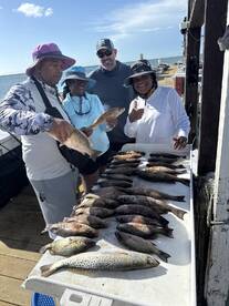 A group of four anglers proudly displaying their catch of various fish, including Speckled Trout, on a sunny day at the dock.