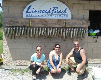 A group of three adults posing in front of a catch board displaying a variety of fish at Linwood Beach Marina, showcasing their successful fishing trip.