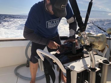 A fisherman skillfully filleting a fish on a boat's cleaning station, surrounded by the open ocean, showcasing the fishing experience.
