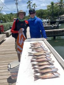 Limited out on Mangrove Snapper
