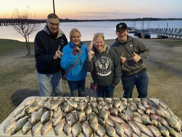 A group of four anglers proudly displaying their catch of striped bass on a board at sunset near a lake.