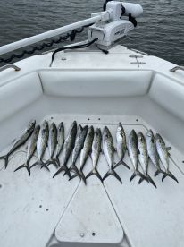 Fishing with Impact Fishing