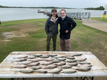 Two anglers proudly display a bountiful catch of striped bass on a table at a lakeside location.