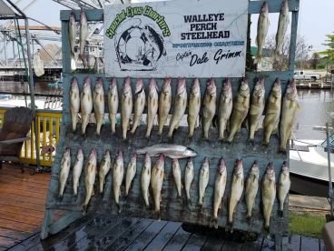 Full day with Capt  Bob and scooter