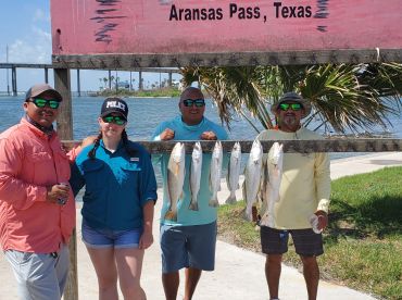 A group of four anglers proudly displaying their catch of Speckled Trout on a board in Aransas Pass, Texas, showcasing a successful fishing trip.