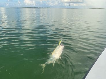 Tons of fish out. Today! 