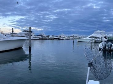 A serene marina scene featuring multiple boats docked, reflecting the calm waters under a cloudy sky.