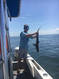 Made a Good Day out of Poor Conditions