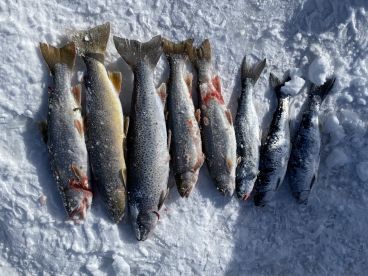 February fishing trip