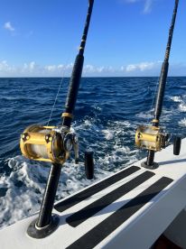 Excellent crew \u2014 great charter!