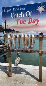 Half day Trip with Captain Ruben 