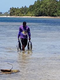 Half day Trolling & Popping with Captain Joe