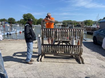Half day trip with captain Greg on Bany Bear Charter 