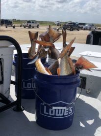 Full day with Capt Rick 