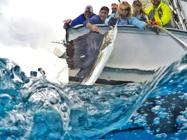 A group of anglers actively reeling in a large fish while enjoying a thrilling day on the water, showcasing the excitement of deep-sea fishing.