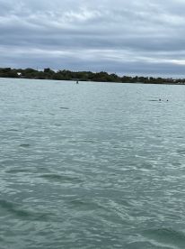 Half day trip with Captain Eric