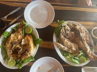 Two beautifully grilled fish served on a bed of lettuce with lime, showcasing a delicious seafood meal.