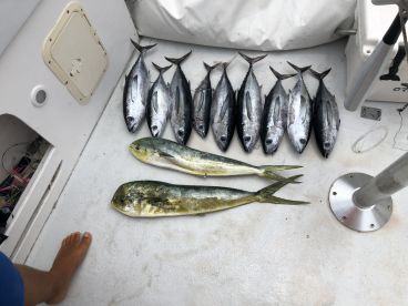 Half day trip with Capt Jacob McTaggart