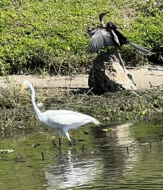 Good guy. Good guide