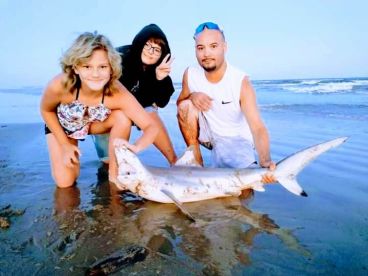 A family enjoying a successful fishing trip at the beach, proudly displaying a caught shark.