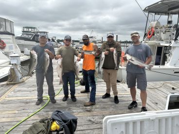 Group of anglers proudly displaying their catch of striped bass at the marina after a successful fishing trip.