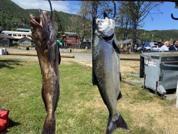 Two large fish, a Halibut and a Salmon, displayed on a catch board in a scenic outdoor setting, showcasing a successful fishing trip.