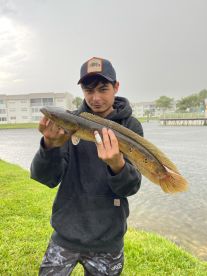 Graveyard shift snakehead hunt \ud83d\udc0d