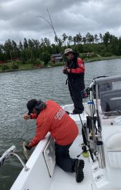 Review media 2