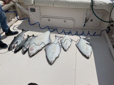 Great day with Captain Alan