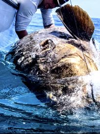 3\/4 day with Capt John.