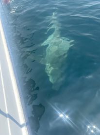 Full Day Off shore fishing